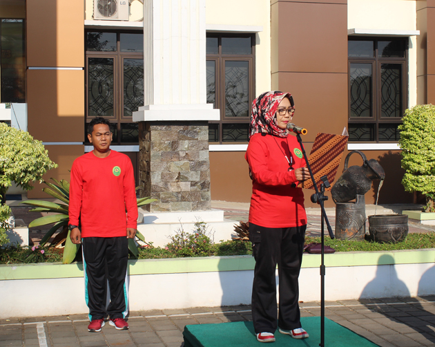 hut mari 2 web